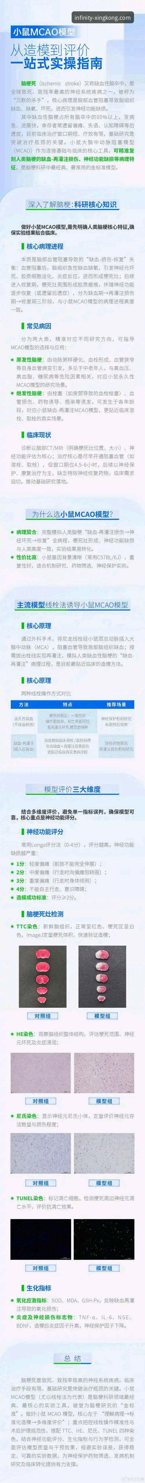 深度揭秘星空入口官方网站入口：注册下载全流程实操指南